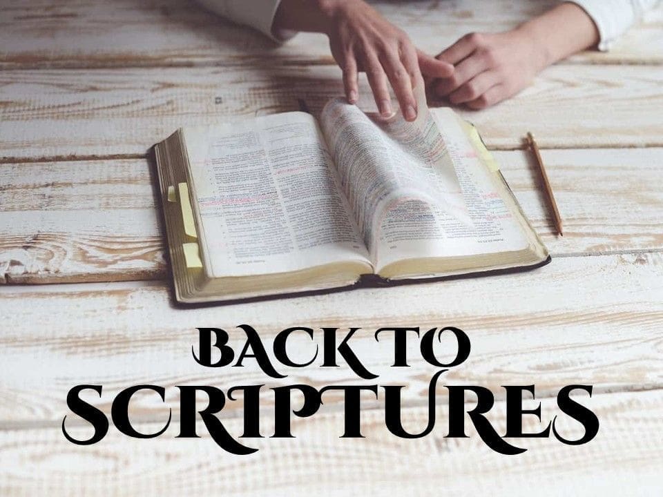 Back To The Scriptures