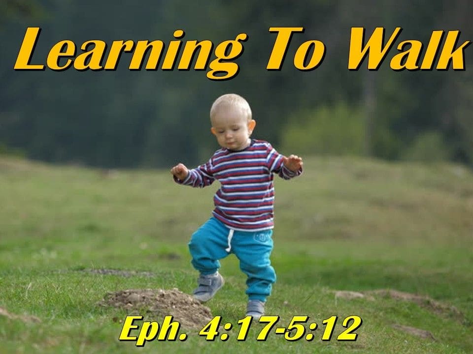 Learning To Walk