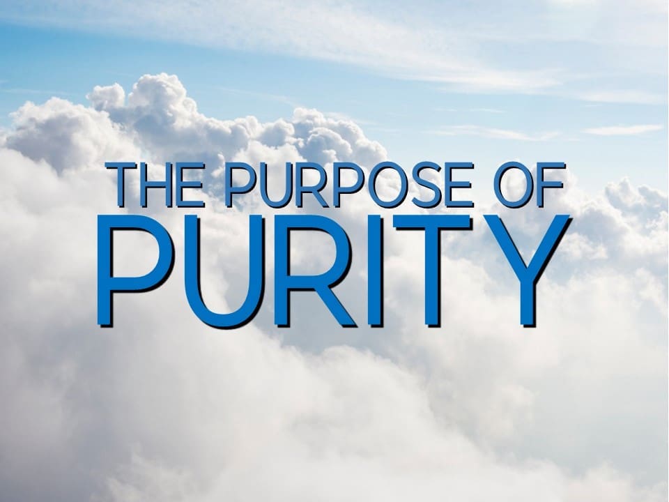 The Purpose of Purity